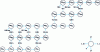 Figure 1 - Transuranium evolution chain