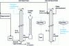 Figure 2 - Diagram of column solvent purification process