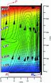 Figure 12 - Current lines and iso-tenor curves in the Rome machine