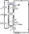 Figure 23 - Simplified flow chart for the CHEMEX process