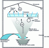 Figure 3 - SILVA separator diagram