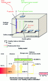 Figure 12 - Distribution between the "structures and Callovo-Oxfordian" transfer channels