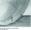 Figure 14 - Example of stress corrosion cracking