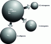 Figure 10 - Mass/Bq equivalence for the main radionuclides, 3H, 14C, 131I and for 1 GBq