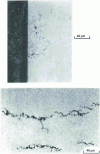 Figure 16 - CCS cracks on the secondary side of high-speed tubes