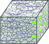 Figure 7 - Illustration of tunnel corrosion shown in green, in the inclusion alignment in purple.