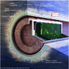 Figure 8 - Schematic representation of corrosion of metal components in the HA cell