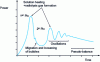 Figure 6 - Criticality accident in a fissile solution