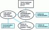 Figure 11 - Organization of public authorities at national level