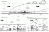 Figure 19 - Schematic representation of the urban boundary layer (UBL) (a) at mesoscale, (b) at local scale and (c) at microscale [125].