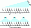 Figure 23 - Centralized and distributed sound systems