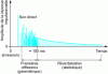 Figure 6 - Modeling the impulse response of a room