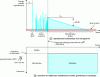 Figure 3 - Anatomy of a room impulse response