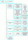 Figure 2 - Example of a flow chart for a 20,000 m2 hospital site