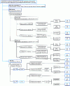 Figure 13 - LPC/USCS laboratory soil classification