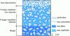 Figure 2 - Different states of water in the soil