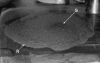 Figure 11 - Detection of segregation (S) and bleeding (R) in the spread test