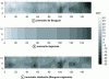 Figure 2 - Bouguer anomaly map. Search for cavities