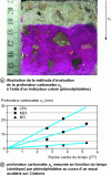 Figure 7 - Service life indicator for rebar corrosion: carbonation kinetics