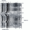 Figure 6 - Example of full-signal sonic recording,
from 