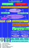 Figure 19 - Decision-making flowchart (from [17])