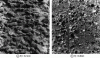 Figure 45 - Surface roughness where Rt is 3.3 mm or 0.8 mm for bushhammering using the waterjet technique
and for the same applied pressure conditions (1,500 bar or 150 MPa).