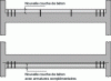 Figure 7 - Slab reinforcement (surface and underside)