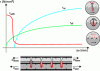 Figure 19 - Individual evolution of shear stress
as a function of differential stress for each mechanism (cohesion
/ shape-locking adhesion τadh, friction τsf and
shear reinforcement/connector τsr (dowel effect) (Credit
Zilch and Reinecke).