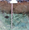 Figure 46 - Injection into fine soil (source: Uretek Nederland/Delft University of Technology)