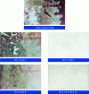 Figure 3 - Surface finish obtained after abrasive blasting from a scaly initial condition (source OHGPI).