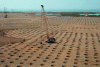 Figure 10 - Typical view of a dynamic compaction site, Saudi Arabia – (Crédit Ménard)