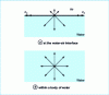 Figure 1 - Forces acting on a water molecule