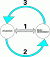 Figure 1 - Eliciting an artifact