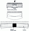 Figure 18 - Faulty floor stiffness (according to )