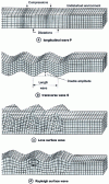 Figure 3 - Seismic waves