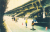 Figure 40 - Hanshin expressway spill (from )