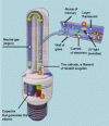 Figure 11 - Replacement compact fluorescent lamp