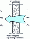 Figure 11 - Homogeneous walls and hygrothermal conditions