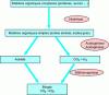 Figure 10 - Methanization process