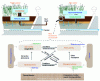 Figure 15 - Processes involved in LSPR (adapted from Molle, 2012 cited in ONEMA publication)