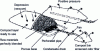 Figure 8 - Aerated static stack (Credit: Misra et al.)