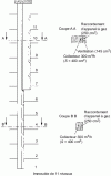 Figure 34 - Mixed gas-ventilation duct serving kitchens