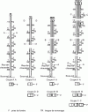 Figure 40 - Collective ducts, shunt system