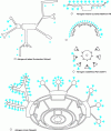 Figure 18 - Examples of the spatial organization of airport terminals and aircraft parking areas