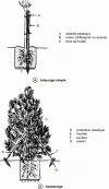 Figure 12 - Staking