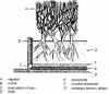 Figure 3 - Creating gardens on slabs