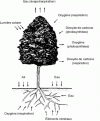 Figure 4 - Plant living conditions