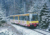 Figure 32 - From 1991 onwards, tram-train equipment gradually replaced most traditional TERs in the Karlsruhe region (Credit AVG).