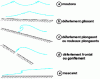 Figure 16 - Wave breaking