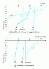 Figure 7 - Depth-dependent variations in dissolved oxygen content and temperature